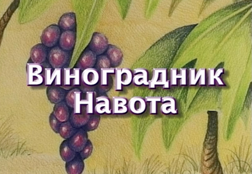 Виноградник Навота